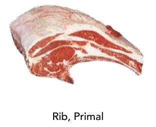 Rib Primal
