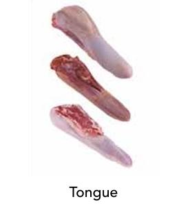 Tongue
