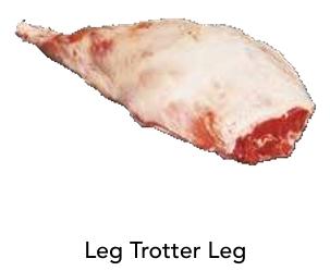 Leg Trotter Leg