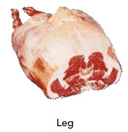 Leg