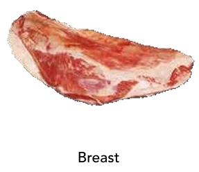 Breast