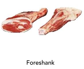 Foreshank