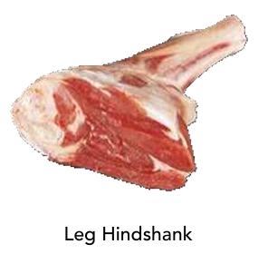 Leg Hindshank