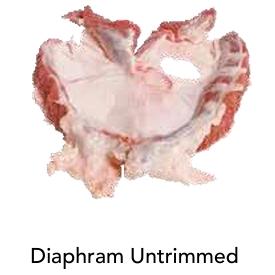 Diaphragm Untrimmed