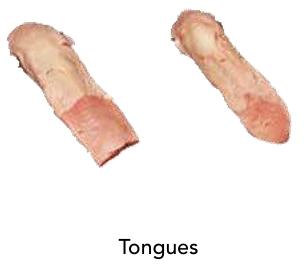 Tongues