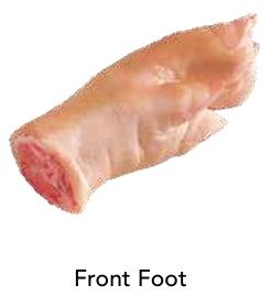 Front Foot