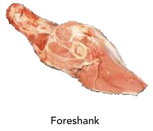 Foreshank